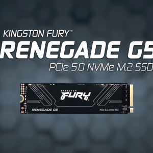 Kingston Fury Renegade NVMe M.2 PCIe Gen4 & FURY Renegade G5 PCIe 5.0 M.2 NVME INT SSD ( 500GB  1TB  2TB  4TB )