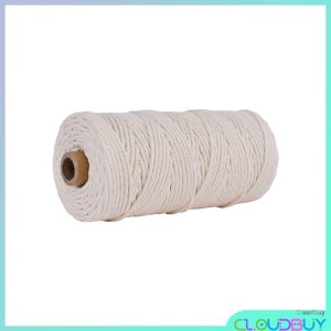 CL.Buy Cotton Rope Colorful Rope Twisted Twine for Handmade Rope DIY Craft Gift Wrap 100m Length