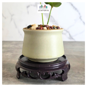 The Leaferie Qing Tray plant pots (6 sizes) trays flowerpot . flowerpots . flower pot . plastic . saucer . plate