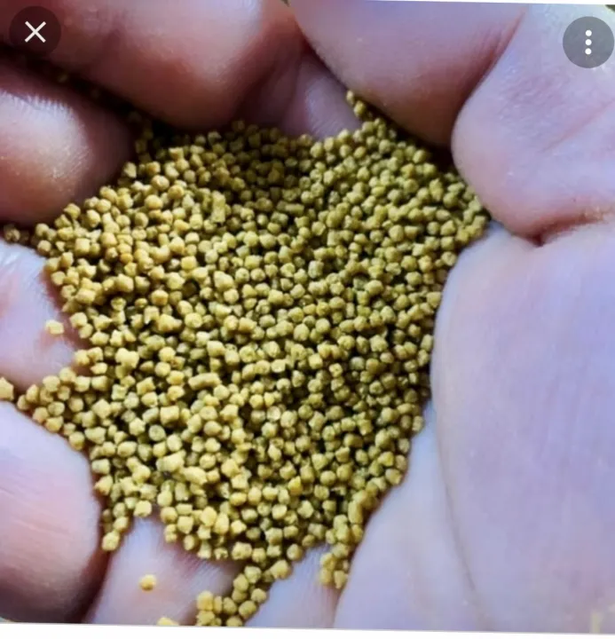 C%C3%A1m%20v%C3%A0nh%20khuy%C3%AAn%20nam%20r%C3%B4%202%20l%C3%ADu%20-%20Image%203