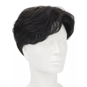 TSE Mens Human Hair Wig Korean Style Fluffy Middle Short Full Wig Natural Realistic RW04