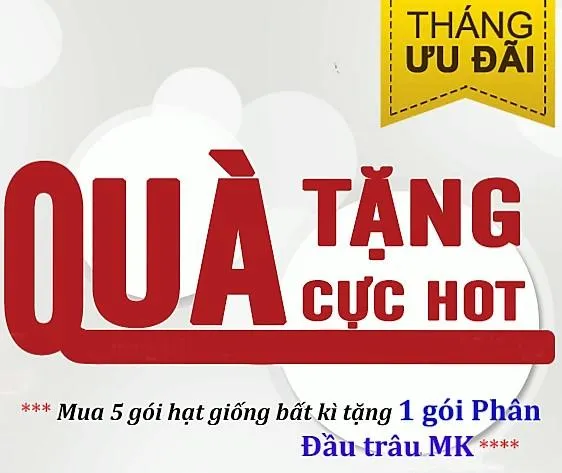 %5BHCM%5DH%E1%BA%A0T%20GI%E1%BB%90NG%20H%C3%80%20LAN%20_%20HOA%20M%C3%80O%20G%C3%80%20B%C3%9AA%20%C4%90%E1%BB%8E%20NHUNG%20RD861%20-%20G%C3%93I%200.1G%20.%20-%20Image%205