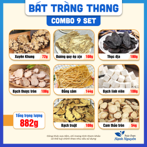 Combo 9 Set Bát Trân Thang trà dưỡng sinh bổ khí huyết - Thảo Dược Hạnh Nguyên