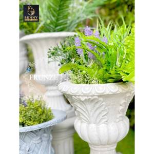 "กระถางโรมันลายใบไม้ ฟรุนเซ่ (FRUNZE)" จัดสวน แต่งสวน Bunny Brown