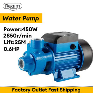 REAIM 450W 0.5HP 220V Heavy Duty Jet Booster Water Pump with Overheat Protection Automatic Self-Priming for Home Water Pressure Boost Shallow Well Water Supply