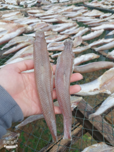 KHÔ CÁ MỐI NGUYÊN CON THƠM NGON - VỰA KHÔ TÚ SƯƠNG - KHÔ CÁ MỐI NGUYÊN CON CÀ MAU