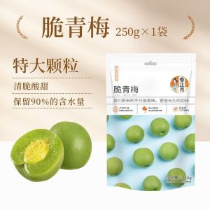 24H发货脆青梅 青口梅小包装 酸脆梅子 爽口梅 新鲜果脯干 蜜饯零食 Crisp Green Plums Candied Snacks