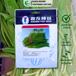 Benih Selada POINTED LEAF 20 gr Known You Seed Tahan Panas & Penyakit