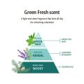 [AMOS PROFESSIONAL]  &gt;&gt; 2025 ORIGINAL KOREA IMPORTED PACKAGING &gt;&gt; THE GREEN TEA Scalp Tonic 50mlx2ea (NEW 2025). 