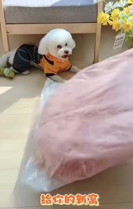 Round long-pile plushbed for cats and dogs winter warming dog mat dog bed pet bed pet supplies