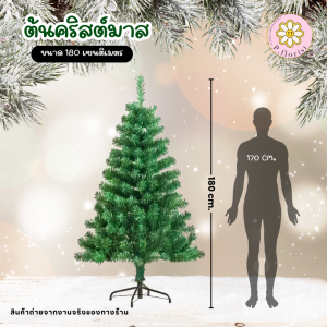 ต้นคริสต์มาส ขนาด 30-300ซม. ต้นคริสมาส ตกแต่งคริสมาส ตกแต่งปีใหม่ ตกแต่งบ้าน พร๊อพถ่ายรูป