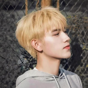 Wig Mens Full Headgear Boys Differential Broken Cover Short Hair Qi Bangs Korean Version Handsome Daily Fluffy Hair Cover