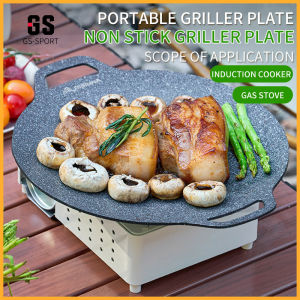 Grill Pan Non Stick Size 34cm Portable Outdoor Camping Frying pan Portable BBQ grill plate