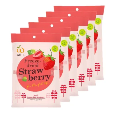WelB Freeze Dried Fruits in pack of 6 - Strawberry