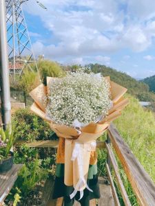 Giấy gói hàng Pelure - Kraft nhật [1kg] | giấy hút ẩm gói đồ quần áo lót hộp...
