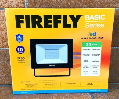 Firefly Basic Series LED TERRA Floodlight - Daylight – Available Wattage: 10W 20W 30W 50W 70W and 100W