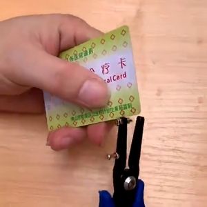 2mm Small Hole Punch Pliers Chick Toe Puncher For Chicken Farm And Daily Breeding Work
