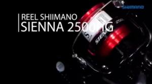 2019 SHIMANO SIENNA FG 500 1000 2000 2500 2500HG C3000 4000 Spinning Fishing Reel