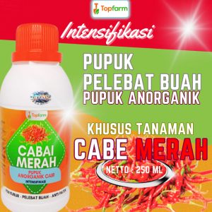 Pupuk Cabe Merah Keriting / Pupuk Pelebat Buah Cabe Merah / Pupuk Cabe Agar Berbuah Lebat / Pupuk Cabe Anti Keriting / Pupuk Cabe Paling Ampuh