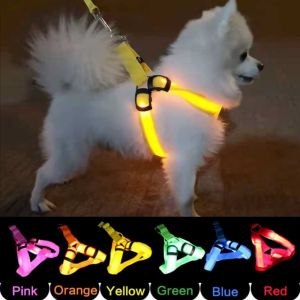 OUTOPEN Light Up LED Dog Harness Adjustable Rechargeable Dog Glowing Vest Breathable Soft Luminous Pet Chest Strap Night Walking The Dog