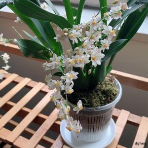 [COD] dgheg 11 14cm Mesh Pot Root Control Transparent Flowerpot For Orchid Flower Breathable Growth Container Garden Plastic Flower Pot