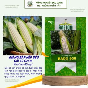 Hạt giống Bắp Nếp Dẻo Rado 936 (10g~40 hạt) trái to hạt dẻo năng suất cao trồng quanh năm
