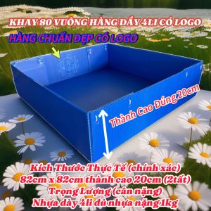 KHAY NHỰA 1M21M8060 "combos 2 cái"hàng miền nam dày 4li KHAY VUÔNGKHAY HỨNG PHÂN KHAY ĐỰNG CÁT KHAY ÚP BỘI