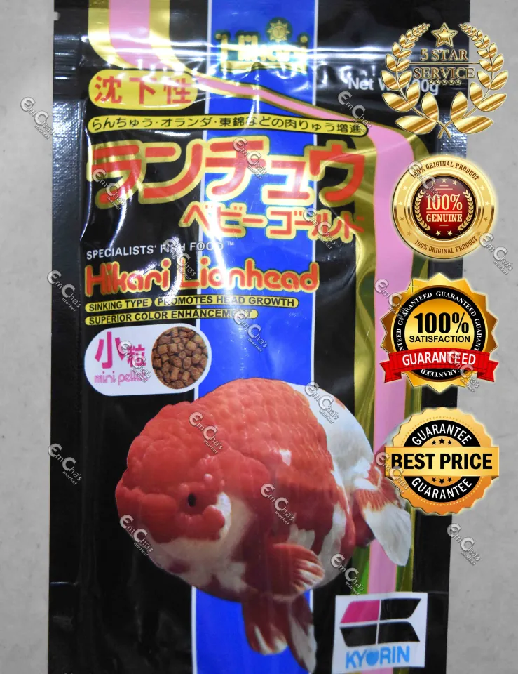 Hikari Lionhead 100g by JTC Imported from Japan for ALL GOLDFISH