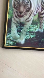 Hiasan Dinding Cetak Lukisan Gambar Macan Putih di hutan plus Bingkai uk:50cm x 100 cm