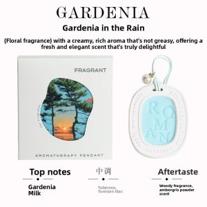 Long Lasting Gypsum Wax Aroma Hanger 120-180 Days Solid Air Freshener Essential Oil Scent Pendant