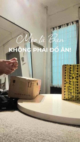 Buyer review video 6
