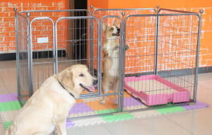 🐱&🐶【READY-STOCK】6 Panel Metal Steel Dog Fence Cage Playpen Dog Cage Pagar anjing 宠物围栏笼子狗笼猫笼