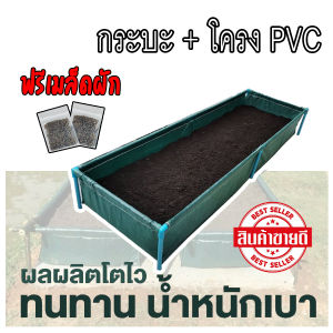 ( ร้านแรกมีร้านเดียว )กะบะปลูกผัก กระบะปลูกผัก พร้อมโครง PVC 1 นิ้ว ขนาด 60x200x30 cm ( ของแท้ )