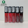 Son tint lì THE FACE SHOP fmgt WATER FIT TINT 5g. 