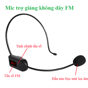 Máy trợ giảng See Me Here T200 FM tặng Micro không dây