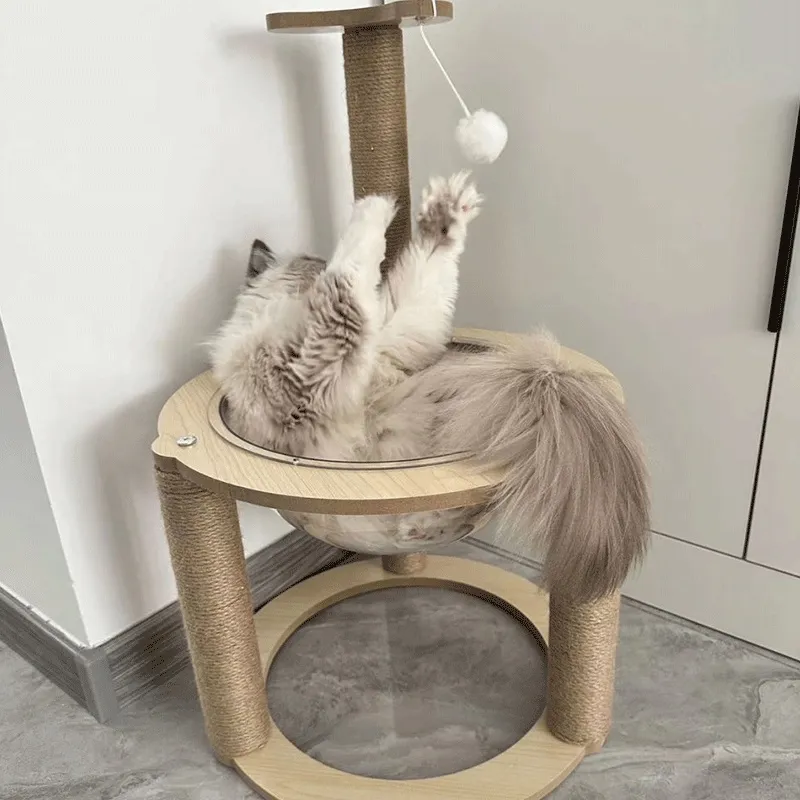 Cat Tree Small Wooden Cat Condo transparent Cat Nest Sisal Cat