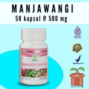 Manjawangi Hs HNI Kapsul Manjakani Kewanitaan Kunyit Kayu Rapet Delima Daun Sirih Kunyit Haid Mens