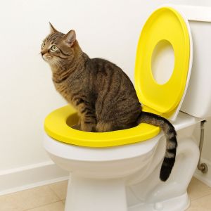 HUIHEYU Detachable Cat Toilet Trainer Stable Reusable Cat Litter Box Pet Potty Seatr with Suction Cup Pet Hygiene Trainer Household