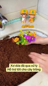 Xơ dừa nén 5kg Mụn dừa nén Đất trồng nén 5kg trồng cây đã qua xử lý khi nở ra đạt khoảng 25-30kg
