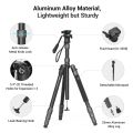 SmallRig 72" Chân máy du lịch nhẹ có thể gập lại Monopod có đầu chất lỏng (Tải tối đa 3kg) Chân khóa núm hợp kim nhôm Chiều cao có thể điều chỉnh từ 43cm đến 188cm để phát trực tiếp Vlogging Máy ảnh Dslr Điện thoại di động 3760. 