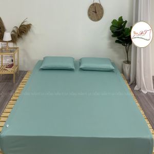 Bộ ga chống thấm kèm gối chính hãng PT bọc đệm chống thấm cao cấp bé tè lau là sạch mềm mịn mát không nóng không bí (mẫu trơn matcha)