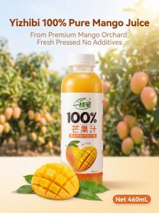 [Yi Zhi Bi] 100% Mango Juice 460ml x 15 Bottles Singapore