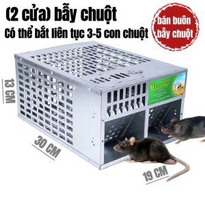 BIG Bẫy chuột thông minh lồng bắt chuột thông minh sạch sẽ an toàn dể dàng sử dụng mồi dùng là các loại trái cây có sẵn