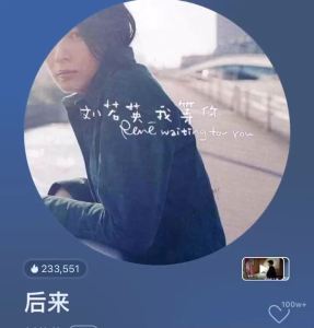 刘若英歌曲U盘后来为爱痴狂 当爱在靠近你 很爱很爱你MP3音频优盘Rene Liu song U disk later became crazy for love when love is approaching you very love very love you MP3 audio USB drive