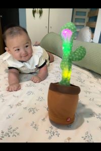 SG STOCK Free Shipping Dancing Cactus That Sings Enchanting Flower That Twists and Talks Funny Toy