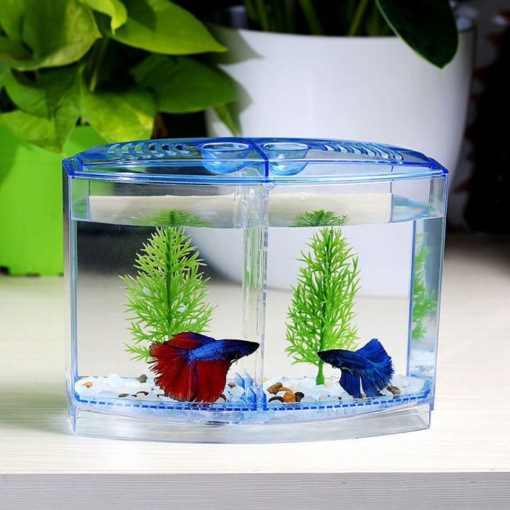 OUTOPEN%20Nh%E1%BB%B1a%20B%E1%BB%83%20c%C3%A1%20Betta%20L%C6%B0%E1%BB%9Bi%20%C4%90%C6%A1n/%C4%91%C3%B4i%20Trong%20su%E1%BB%91t%20H%E1%BB%99p%20c%C3%A1ch%20ly%20nu%C3%B4i%20c%C3%A1%20Thi%E1%BA%BFt%20th%E1%BB%B1c%20V%E1%BB%9Bi%20c%E1%BB%8F%20n%C6%B0%E1%BB%9Bc%20H%E1%BB%99p%20c%C3%A1ch%20ly%20c%C3%A1%20Betta%20hai%20l%C6%B0%E1%BB%9Bi%20Cho%20t%C3%B4m%20clownfish%20-%20Image%206
