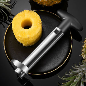Practical Pineapple Cutter / Stainless Steel Pineapple Slicer / Pineapple Peeler Tool
