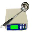 Solid Stainless Steel Kitchen Utensils-Turner & Soup Ladle Kitchenware. 
