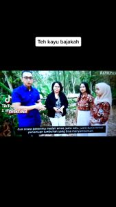 TEH BAJAKAH MERAH ( ISI 30PCS ) TERLARIS 100% ASLI KALIMANTAN ORIGINAL