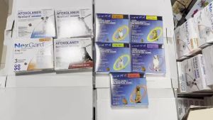 Nexgard and Nexgard Spectra per BOX w/ STICKER[Fast Shipping]